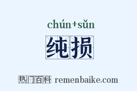 纯损是什么意思的图片